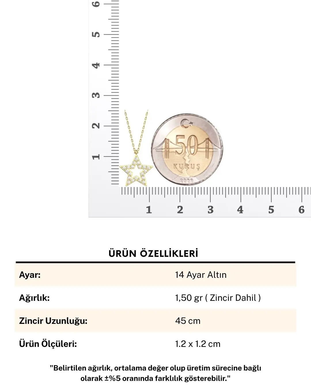 Minik Taşlı Yıldız 14 Ayar Altın Kolye