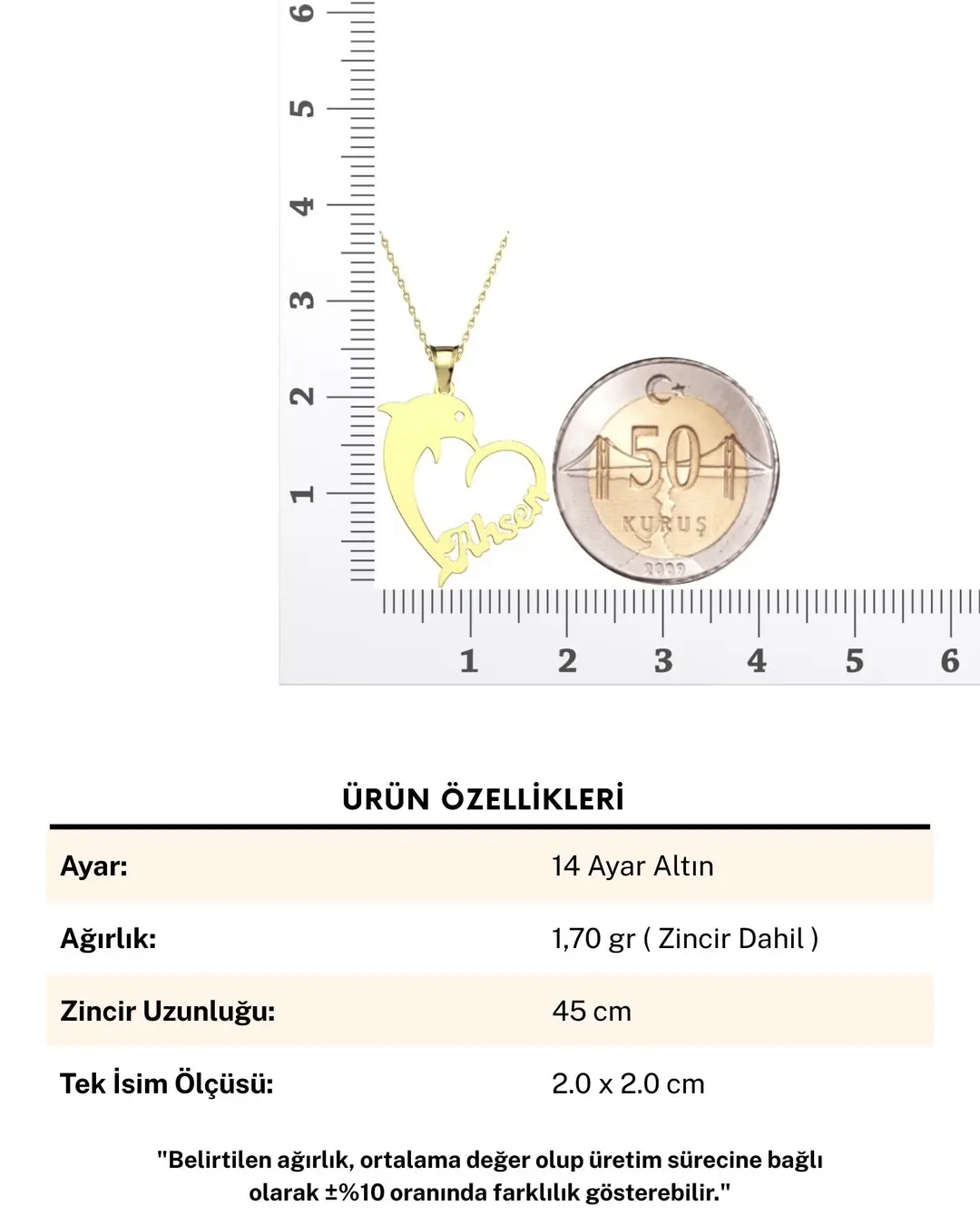 İsimli Yunus Balığı 14 Ayar Altın Kolye