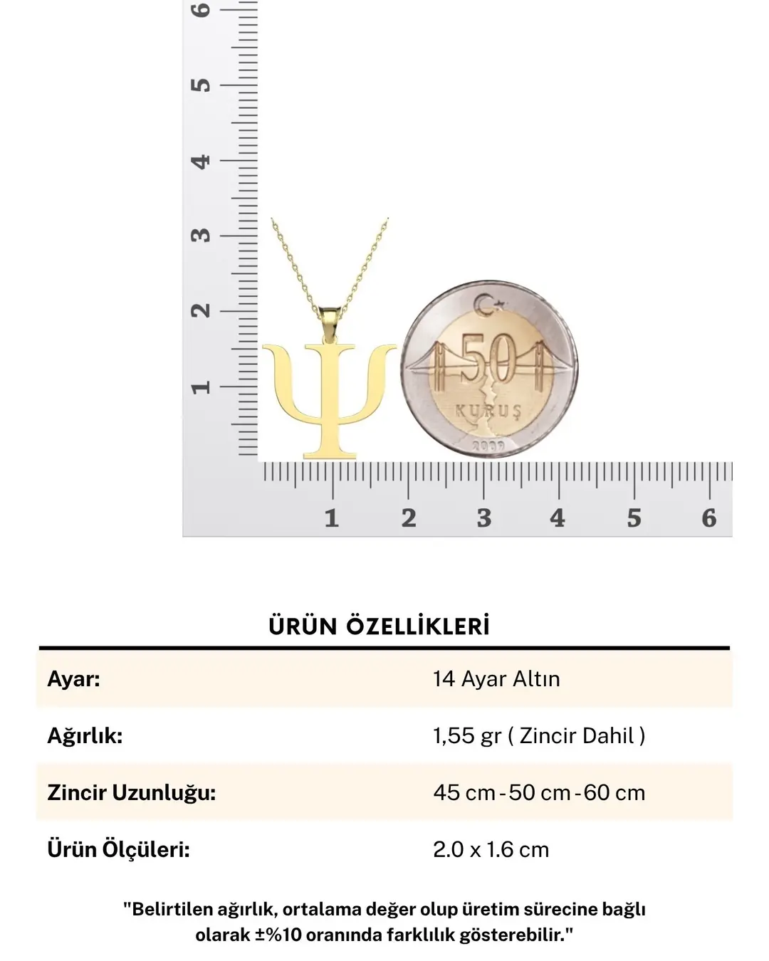 Psi Psikoloji Simgesi 14 Ayar Altın Kolye