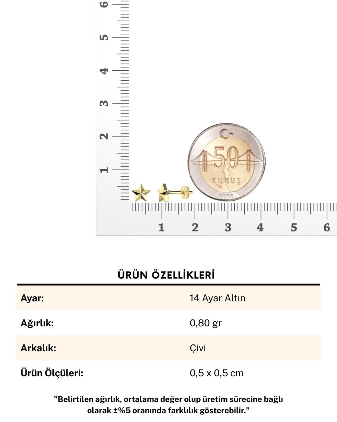 Minik Sade Yıldız 14 Ayar Altın Küpe