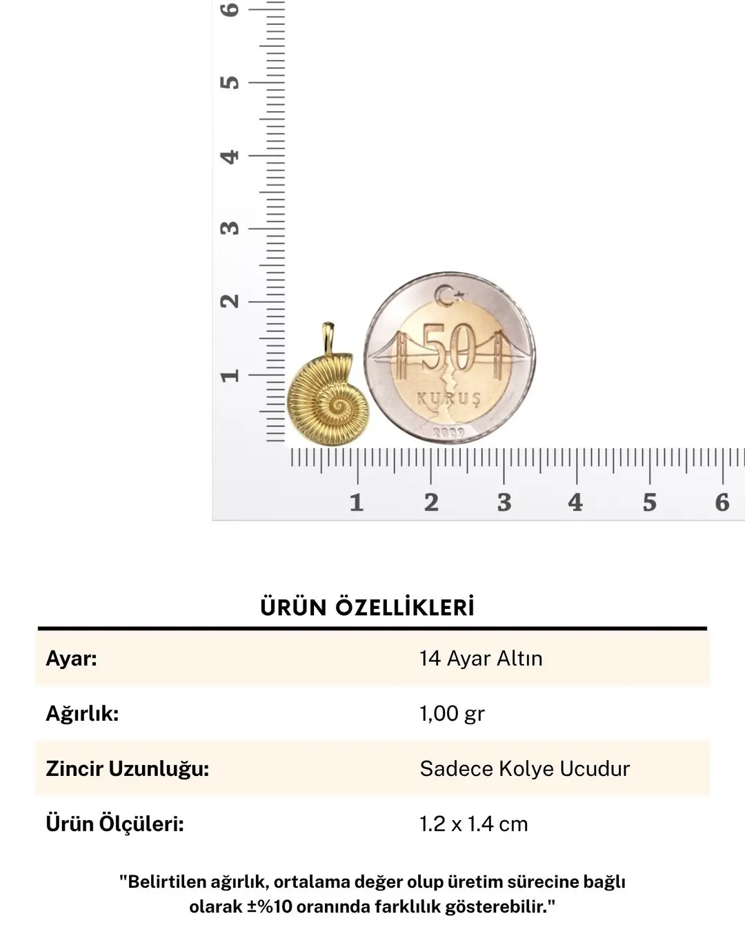 Ammonit Deniz Kabuğu 14 Ayar Altın Kolye Ucu
