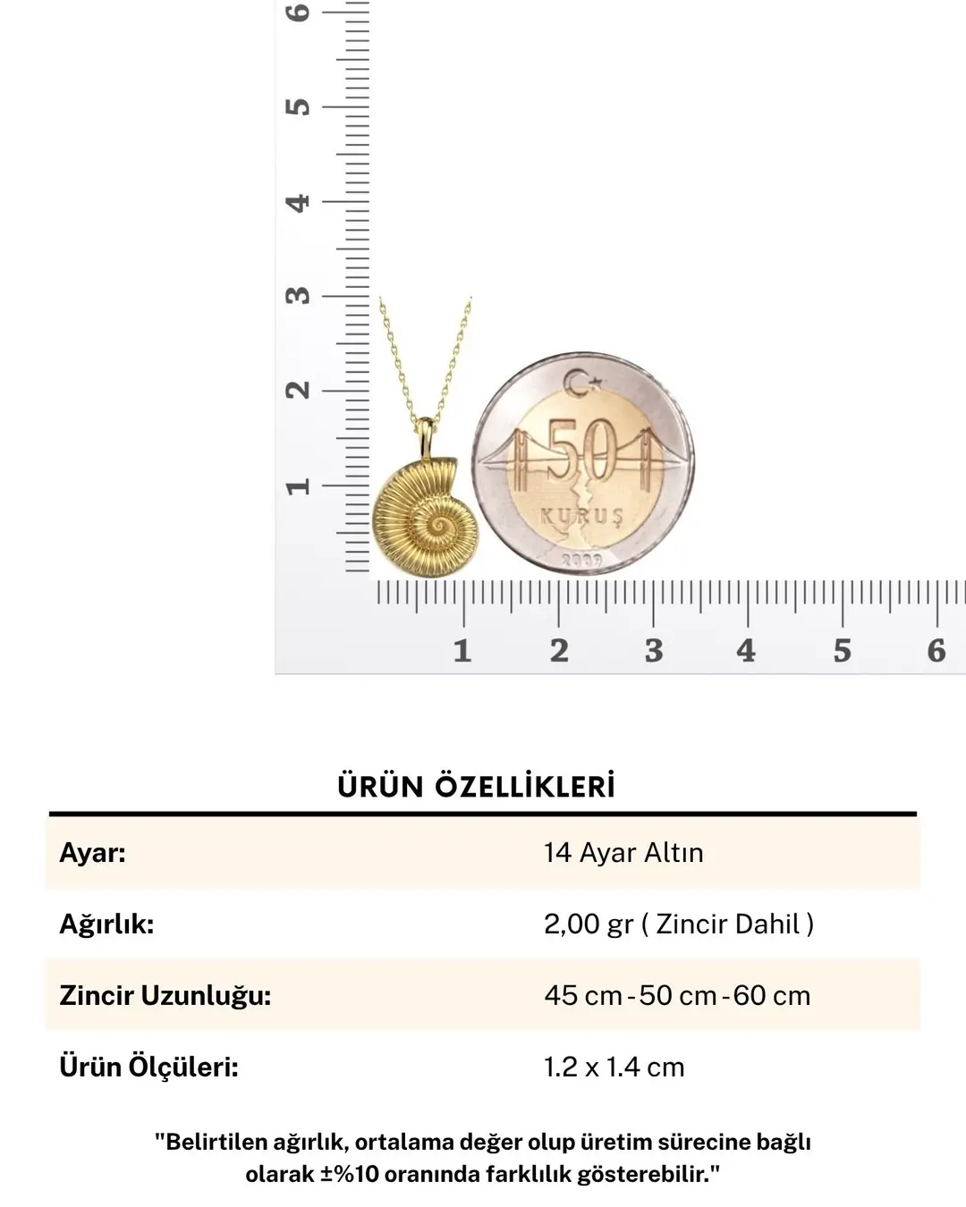 Ammonit Deniz Kabuğu 14 Ayar Altın Kolye